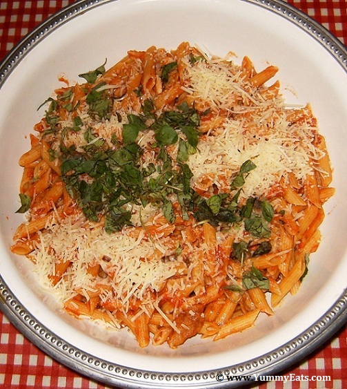 Penne pasta dish with Marinara Sauce, Romano Cheese and fresh Oregano.